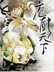 厨房里的物理课综艺封面